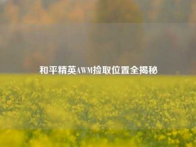 和平精英AWM捡取位置全揭秘
