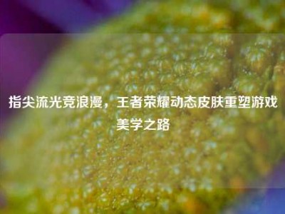 指尖流光竞浪漫，王者荣耀动态皮肤重塑游戏美学之路