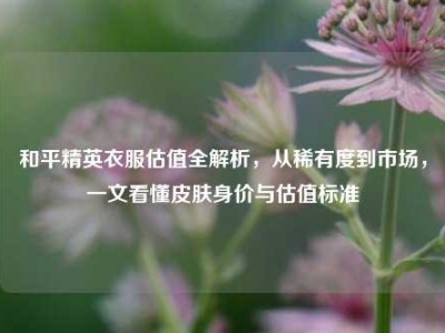 和平精英衣服估值全解析，从稀有度到市场，一文看懂皮肤身价与估值标准