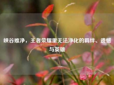 峡谷难净，王者荣耀里无法净化的羁绊、遗憾与英雄