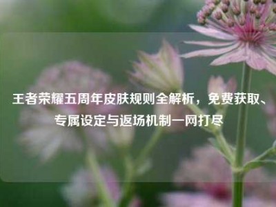 王者荣耀五周年皮肤规则全解析，免费获取、专属设定与返场机制一网打尽
