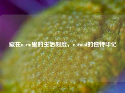 藏在norm里的生活刻度，normol的独特印记