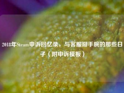 2018年Steam申诉回忆录，与客服掰手腕的那些日子（附申诉模板）
