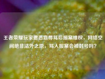 王者荣耀玩家遭恶意辱骂后报案维权，网络空间绝非法外之地，骂人报案会被封号吗？