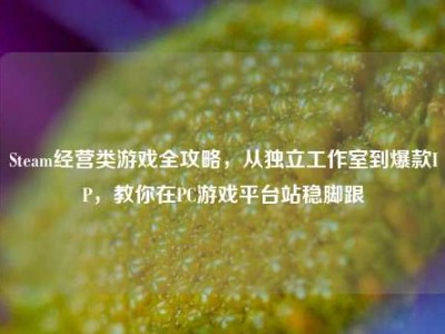 Steam经营类游戏全攻略，从独立工作室到爆款IP，教你在PC游戏平台站稳脚跟