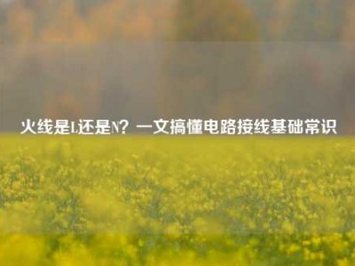 火线是L还是N？一文搞懂电路接线基础常识