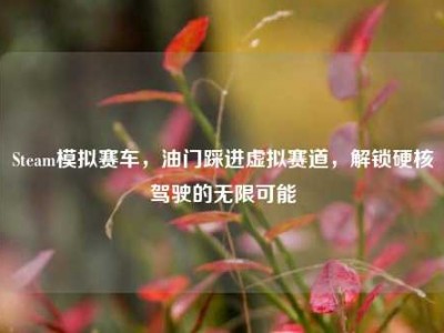 Steam模拟赛车，油门踩进虚拟赛道，解锁硬核驾驶的无限可能