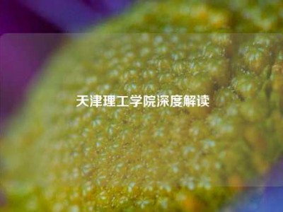 天津理工学院深度解读