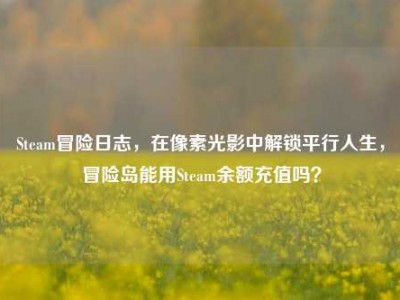 Steam冒险日志，在像素光影中解锁平行人生，冒险岛能用Steam余额充值吗？