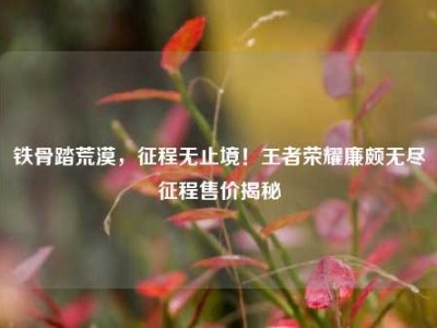 铁骨踏荒漠，征程无止境！王者荣耀廉颇无尽征程售价揭秘