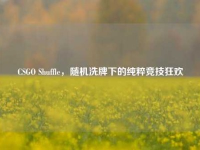 CSGO Shuffle，随机洗牌下的纯粹竞技狂欢