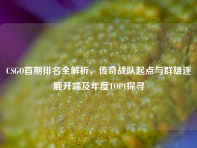 CSGO首期排名全解析，传奇战队起点与群雄逐鹿开端及年度TOP1探寻