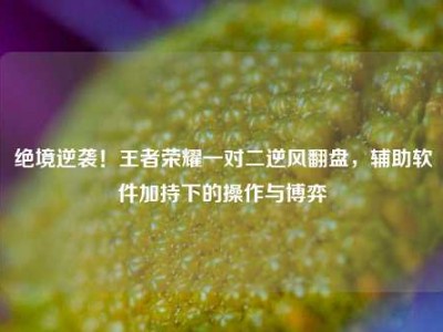 绝境逆袭！王者荣耀一对二逆风翻盘，辅助软件加持下的操作与博弈