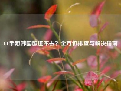 CF手游韩国服进不去？全方位排查与解决指南