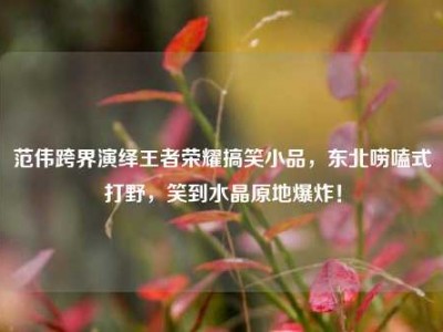 范伟跨界演绎王者荣耀搞笑小品，东北唠嗑式打野，笑到水晶原地爆炸！