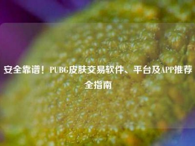 安全靠谱！PUBG皮肤交易软件、平台及APP推荐全指南