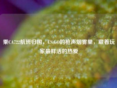 乘CA722航班归国，CS:GO的枪声烟雾里，藏着玩家最鲜活的热爱