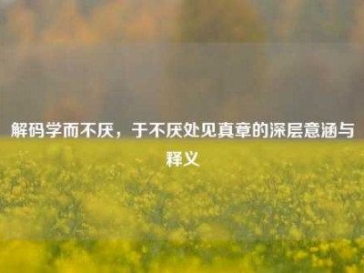 解码学而不厌，于不厌处见真章的深层意涵与释义