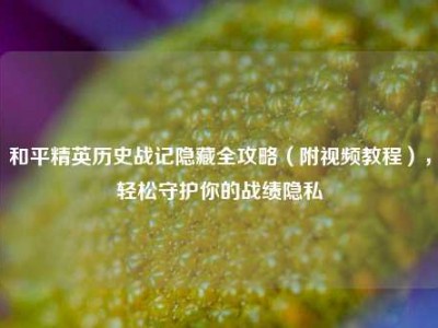 和平精英历史战记隐藏全攻略（附视频教程），轻松守护你的战绩隐私