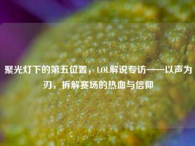 聚光灯下的第五位置，LOL解说专访——以声为刃，拆解赛场的热血与信仰