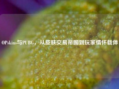 OPskins与PUBG，从皮肤交易帝国到玩家情怀载体