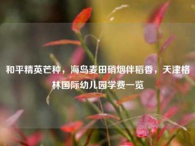 和平精英芒种，海岛麦田硝烟伴稻香，天津格林国际幼儿园学费一览