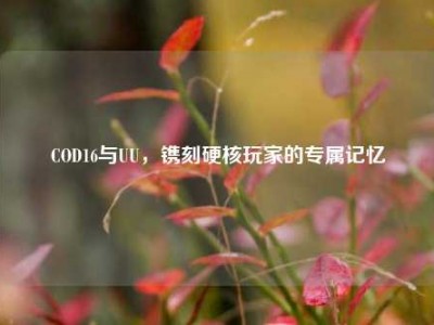 COD16与UU，镌刻硬核玩家的专属记忆