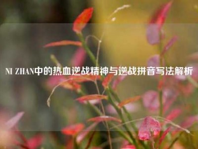 NI ZHAN中的热血逆战精神与逆战拼音写法解析