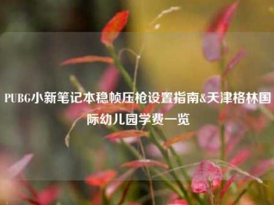 PUBG小新笔记本稳帧压枪设置指南&天津格林国际幼儿园学费一览