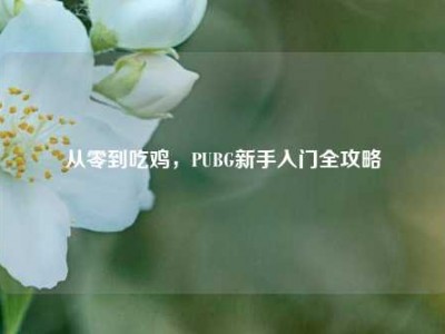从零到吃鸡，PUBG新手入门全攻略