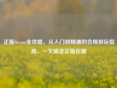 正版Steam全攻略，从入门到精通的合规游玩指南，一文搞定正版在哪