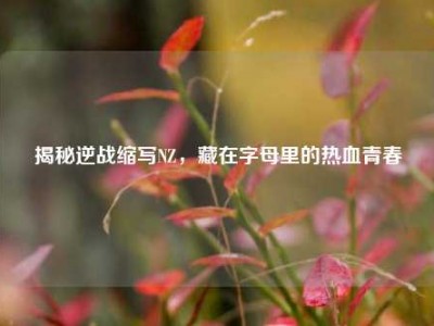 揭秘逆战缩写NZ，藏在字母里的热血青春