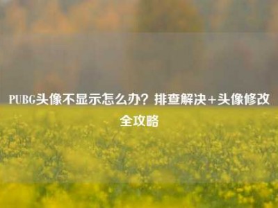 PUBG头像不显示怎么办？排查解决+头像修改全攻略