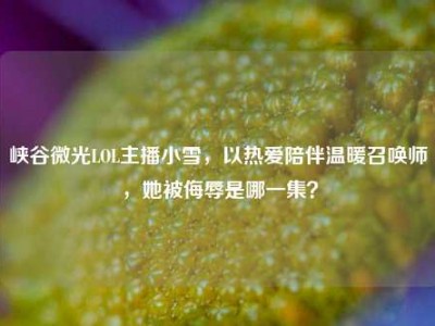 峡谷微光LOL主播小雪，以热爱陪伴温暖召唤师，她被侮辱是哪一集？