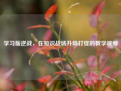 学习版逆战，在知识战场升级打怪的教学视频