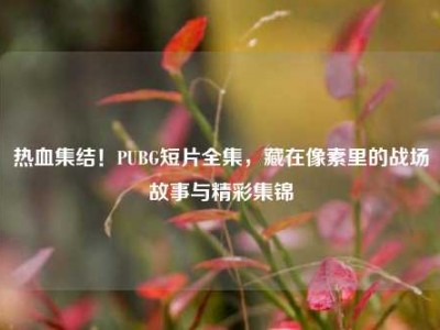 热血集结！PUBG短片全集，藏在像素里的战场故事与精彩集锦