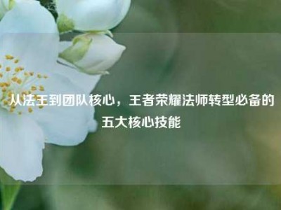 从法王到团队核心，王者荣耀法师转型必备的五大核心技能