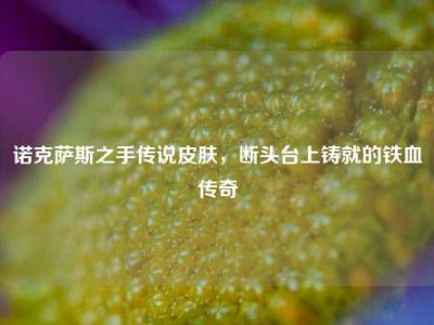 诺克萨斯之手传说皮肤，断头台上铸就的铁血传奇