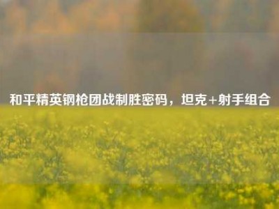 和平精英钢枪团战制胜密码，坦克+射手组合