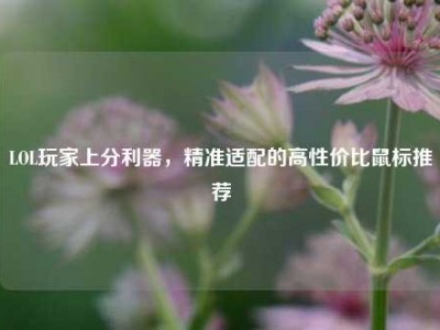 LOL玩家上分利器，精准适配的高性价比鼠标推荐