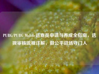 PUBG/PUBG Mobile巡查员申请与养成全指南，选拔审核流程详解，做公平战场守门人