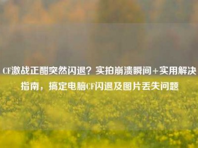 CF激战正酣突然闪退？实拍崩溃瞬间+实用解决指南，搞定电脑CF闪退及图片丢失问题