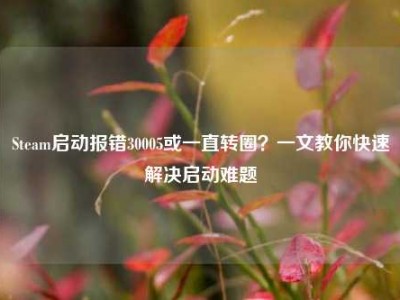 Steam启动报错30005或一直转圈？一文教你快速解决启动难题