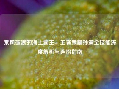 乘风破浪的海上霸主，王者荣耀孙策全技能深度解析与连招指南