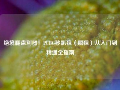 绝境翻盘利器！PUBG秒趴狙（瞬狙）从入门到精通全指南