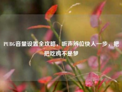 PUBG音量设置全攻略，听声辨位快人一步，把把吃鸡不是梦