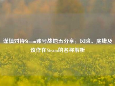 谨慎对待Steam账号战地五分享，风险、底线及该作在Steam的名称解析