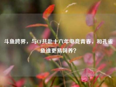 斗鱼跨界，与CF共赴十六年电竞青春，和孔雀鱼谁更易饲养？
