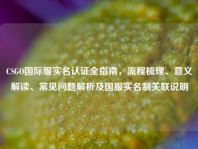 CSGO国际服实名认证全指南，流程梳理、意义解读、常见问题解析及国服实名制关联说明