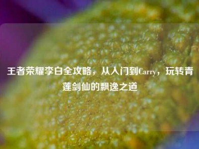 王者荣耀李白全攻略，从入门到Carry，玩转青莲剑仙的飘逸之道